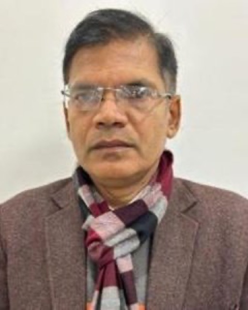 Development Commissioner, NSEZ