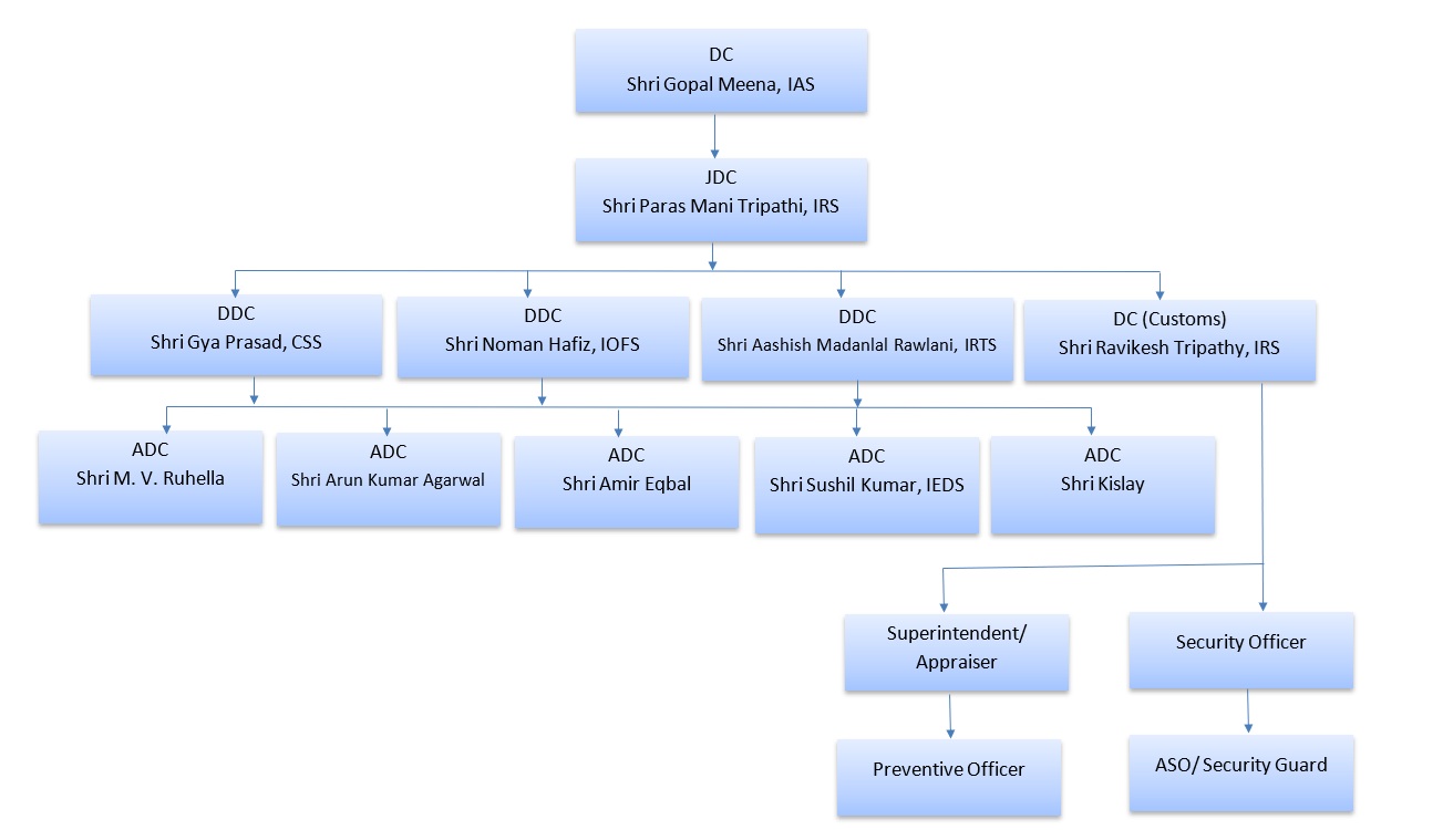 NSEZ organisation structure (English)