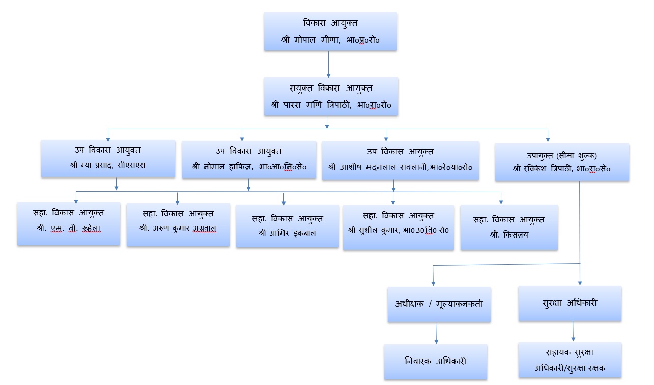 NSEZ organisation structure (Hindi)